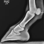 WhatsApp Image 2022-06-21 at 6.45.51 PM (1)