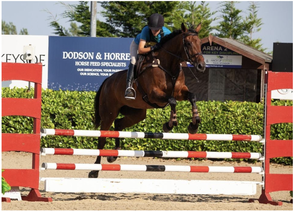 Obstáculos para pular a cavalo Equestrian Show jumping