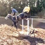 whatsapp-image-2022-08-25-at-6-15-37-pm-1-9152823