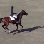 cooper-harmony-3-4094614