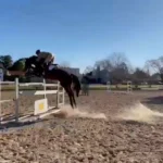 two-moons-4-2-7195282