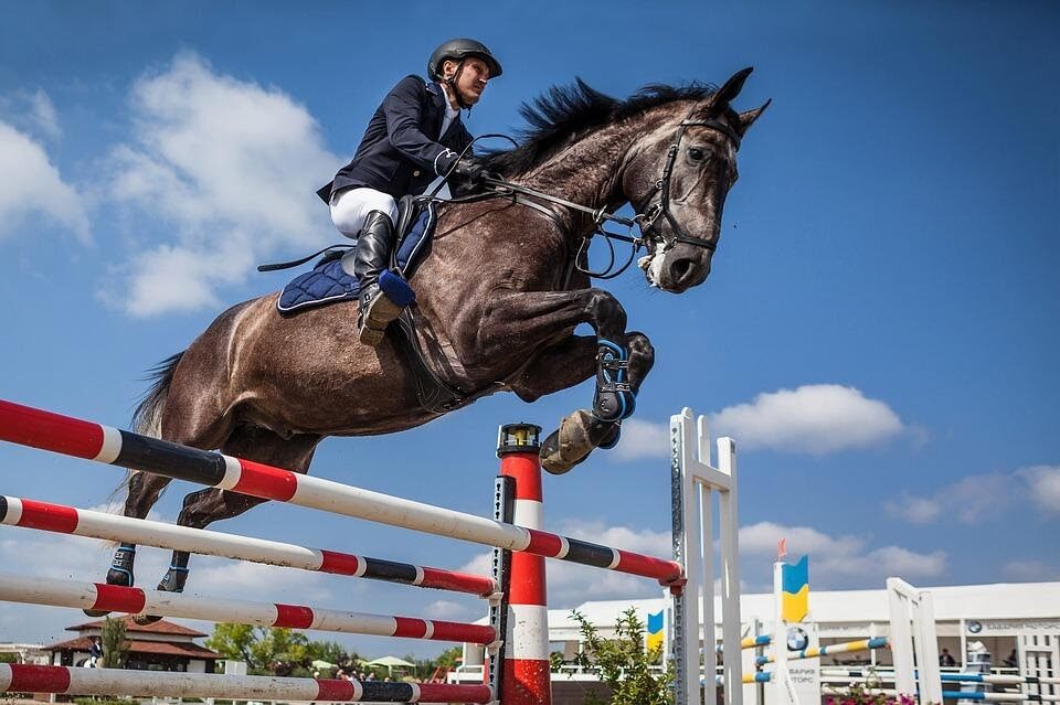 Jockey Com Seu Cavalo Pulando Sobre Um Obstáculo Pulando Sobre O