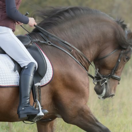 amazona-montando-cavalo-.jpg