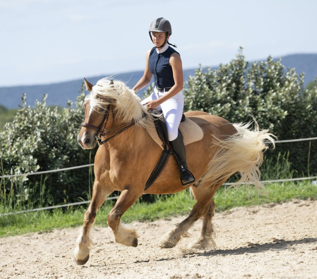 equitação-menina-e-cavalo-2.jpg